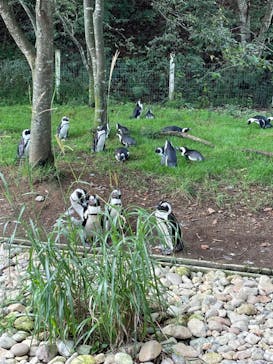 那須どうぶつ王国に投稿された画像（2023/9/16）