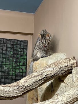 那須どうぶつ王国に投稿された画像（2023/9/16）