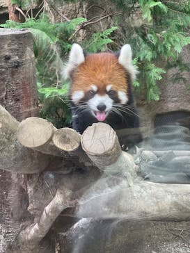 那須どうぶつ王国に投稿された画像（2023/9/16）