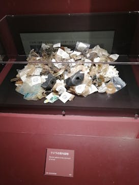 特別展「海　―生命のみなもと―」（国立科学博物館）に投稿された画像（2023/9/16）