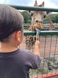 伊豆アニマルキングダムに投稿された画像（2023/9/16）
