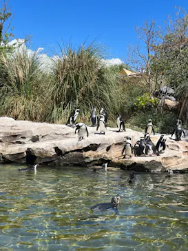 神戸どうぶつ王国に投稿された画像（2023/9/16）