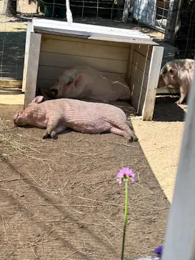 神戸どうぶつ王国に投稿された画像（2023/9/16）