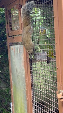 熱川バナナワニ園に投稿された画像（2023/9/16）