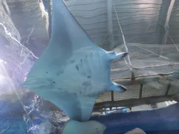 マクセル アクアパーク品川に投稿された画像（2023/9/16）