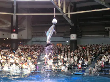 マクセル アクアパーク品川に投稿された画像（2023/9/16）