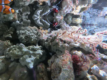 マクセル アクアパーク品川に投稿された画像（2023/9/16）