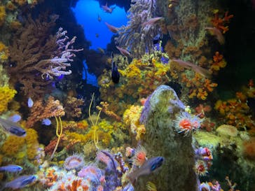 サンシャイン水族館に投稿された画像（2023/9/16）