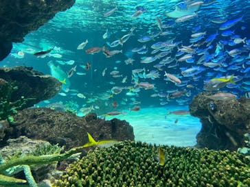 サンシャイン水族館に投稿された画像（2023/9/16）