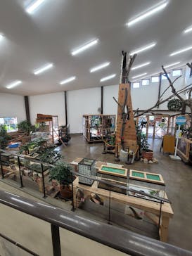 しろとり動物園に投稿された画像（2023/9/16）