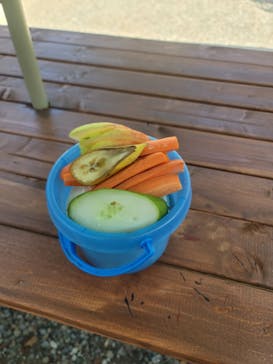 しろとり動物園に投稿された画像（2023/9/16）