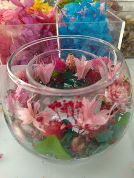 ずこうしつ〜sugamo〜に投稿された画像（2023/9/16）