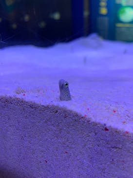 マリンワールド海の中道に投稿された画像（2023/9/16）