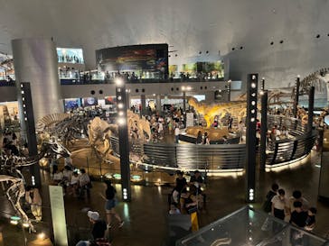福井県立恐竜博物館に投稿された画像（2023/9/16）