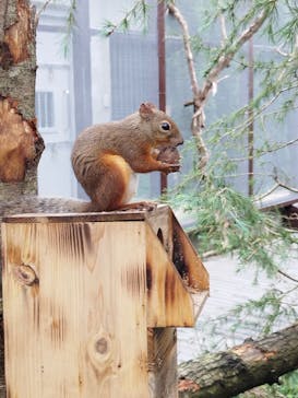 那須どうぶつ王国に投稿された画像（2023/9/16）