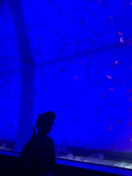 アクアワールド茨城県大洗水族館に投稿された画像（2023/9/16）