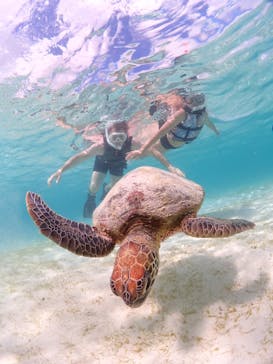 CHAMP TOUR　宮古島に投稿された画像（2023/9/16）