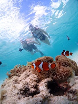 CHAMP TOUR　宮古島に投稿された画像（2023/9/16）