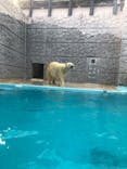 静岡市立日本平動物園に投稿された画像（2023/9/17）