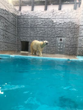 静岡市立日本平動物園に投稿された画像（2023/9/16）