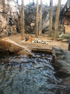 静岡市立日本平動物園に投稿された画像（2023/9/16）