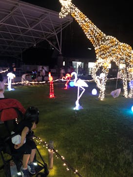 静岡市立日本平動物園に投稿された画像（2023/9/16）