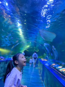 しながわ水族館に投稿された画像（2023/9/16）