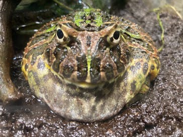 サンシャイン水族館に投稿された画像（2023/9/16）