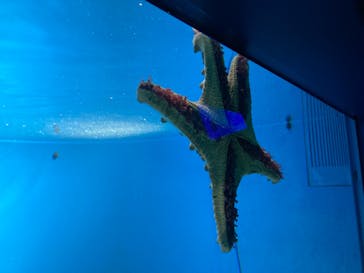 サンシャイン水族館に投稿された画像（2023/9/16）