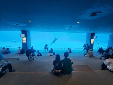名古屋港水族館に投稿された画像（2023/9/16）