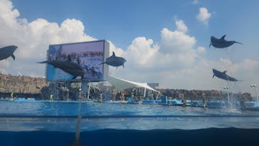 名古屋港水族館に投稿された画像（2023/9/16）