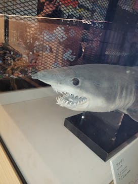 アクアワールド茨城県大洗水族館に投稿された画像（2023/9/16）