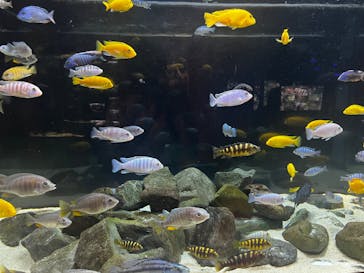 カワスイ 川崎⽔族館に投稿された画像（2023/9/16）