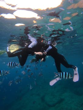 沖縄マリンサービス碧に投稿された画像（2023/9/16）