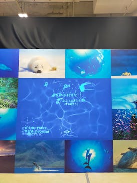 特別展「海　―生命のみなもと―」（国立科学博物館）に投稿された画像（2023/9/16）