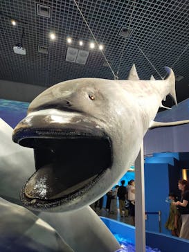 特別展「海　―生命のみなもと―」（国立科学博物館）に投稿された画像（2023/9/16）