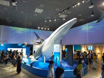 特別展「海　―生命のみなもと―」（国立科学博物館）に投稿された画像（2023/9/16）