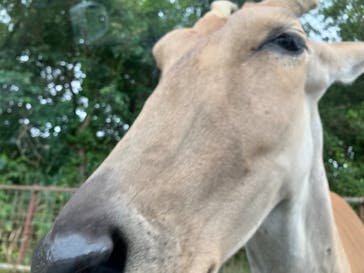 東北サファリパークに投稿された画像（2023/9/16）