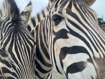 東北サファリパークに投稿された画像（2023/9/16）