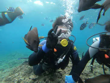 武藤潜水に投稿された画像（2023/9/17）