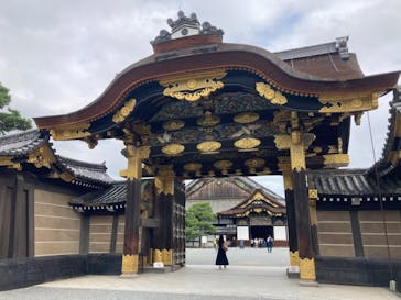 元離宮二条城に投稿された画像（2023/9/17）