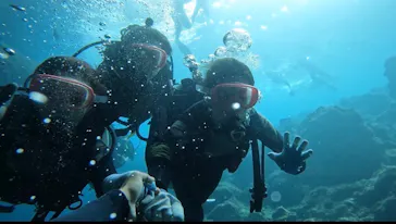 武藤潜水に投稿された画像（2023/9/17）