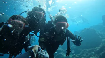 武藤潜水に投稿された画像（2023/9/17）