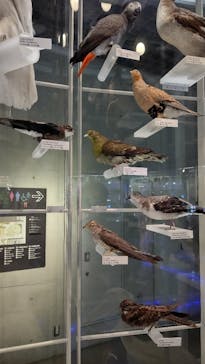 国立科学博物館に投稿された画像（2023/9/17）