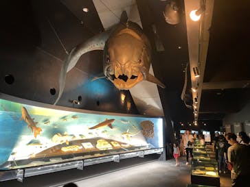 環境水族館アクアマリンふくしまに投稿された画像（2023/9/17）