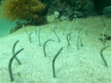 環境水族館アクアマリンふくしまに投稿された画像（2023/9/17）