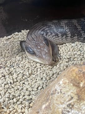 NARA IKIMONO MUSEUMに投稿された画像（2023/9/17）