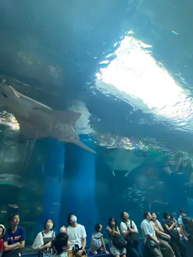 マクセル アクアパーク品川に投稿された画像（2023/9/17）