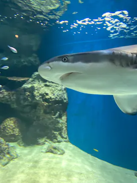 マクセル アクアパーク品川に投稿された画像（2023/9/17）