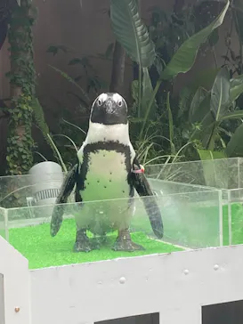 マクセル アクアパーク品川に投稿された画像（2023/9/17）